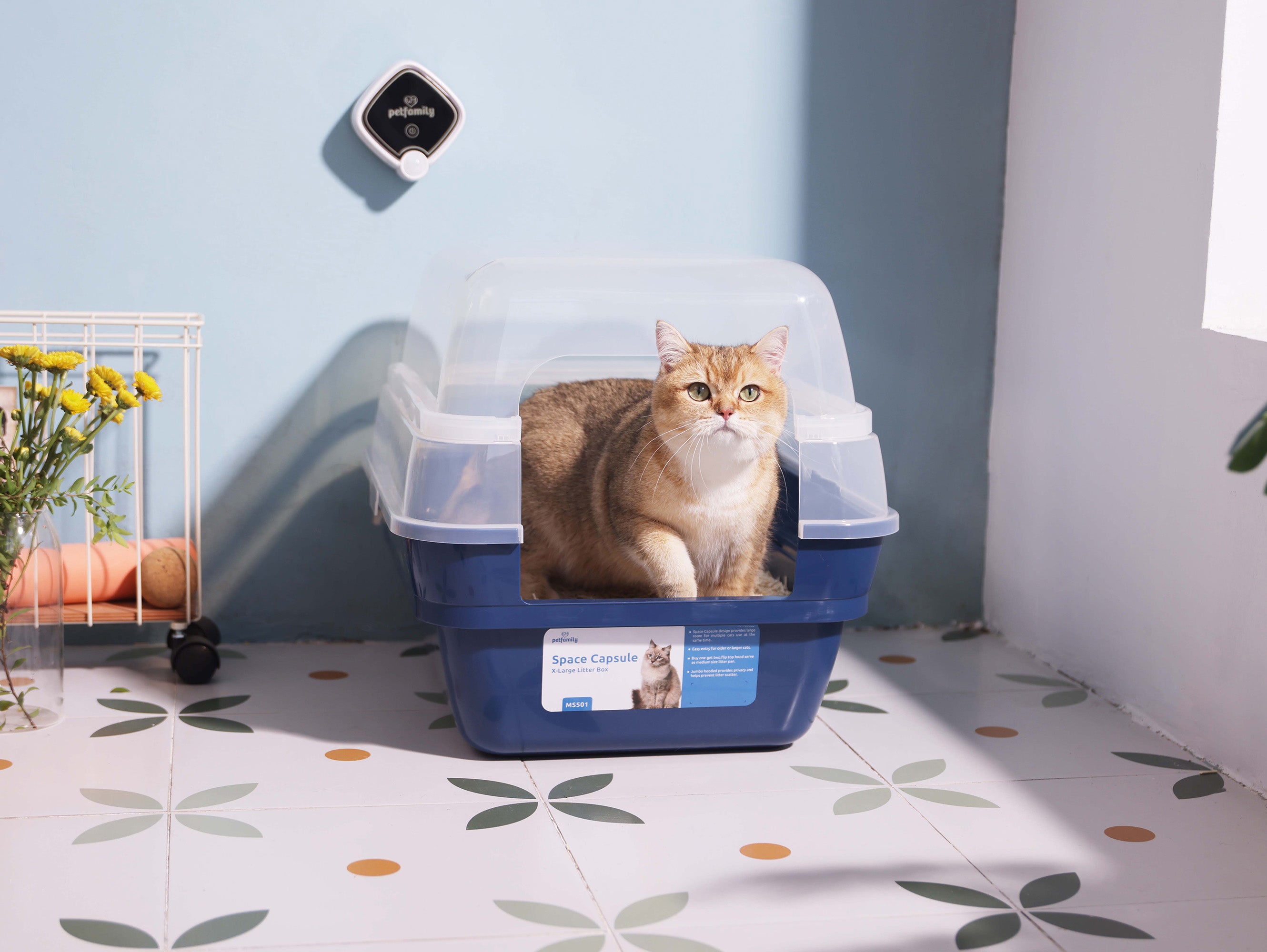 Why your cat’s poop stinks so bad and what to do about it