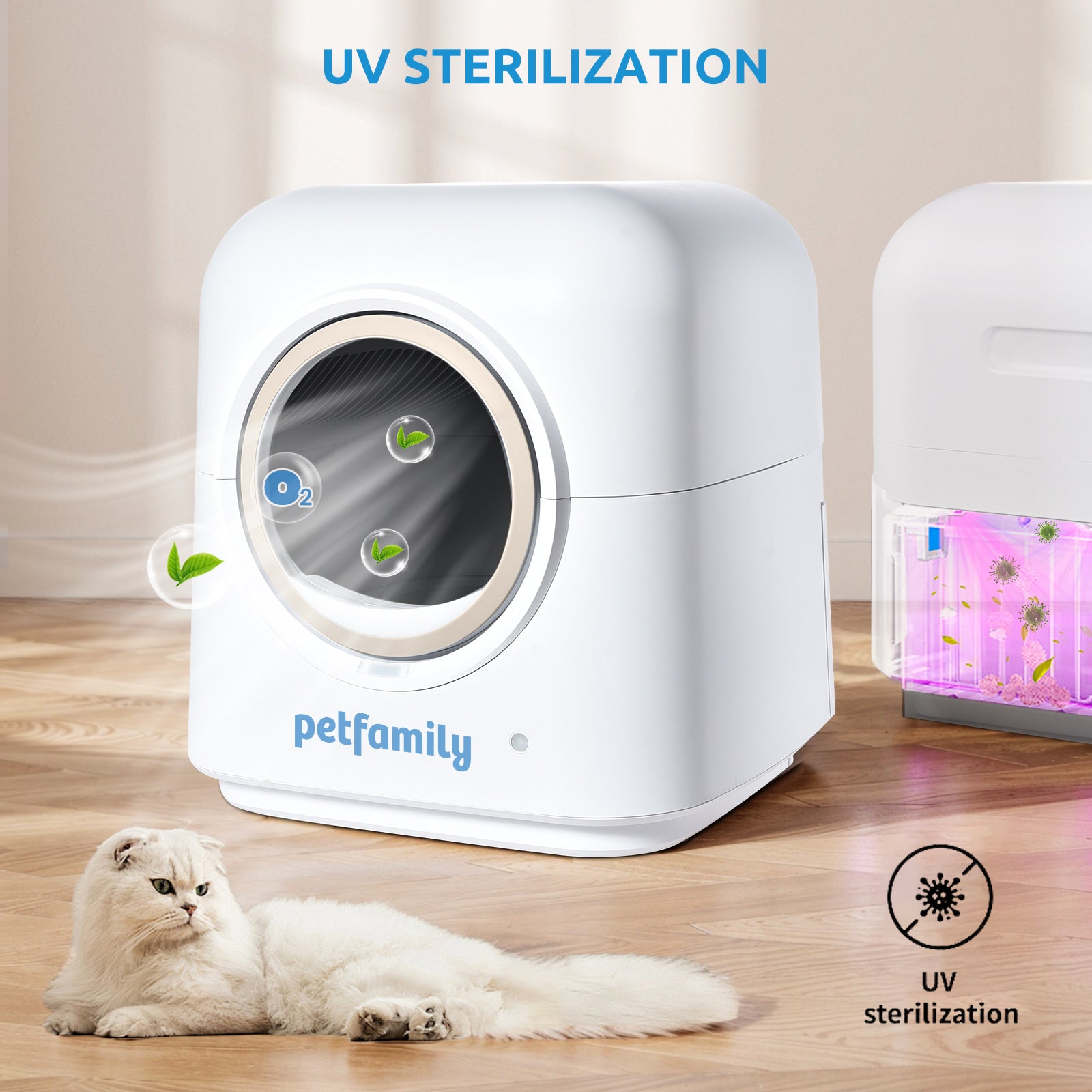 PETFAMILY Magic Box