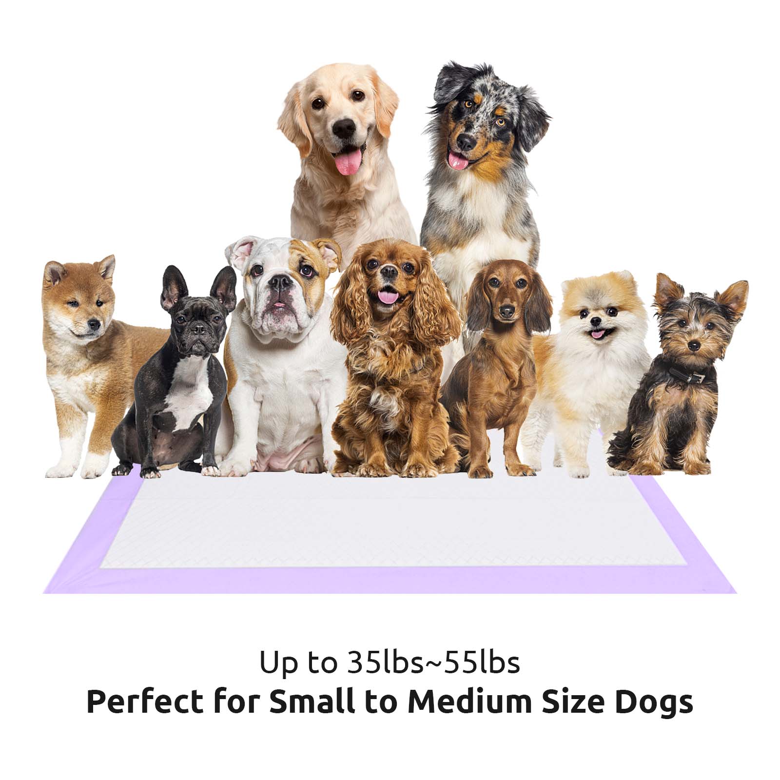 Dog Training Pads 24" x 24" 50 Pieces, Lavender Scent - Quick Drying and Ultra Absorbent