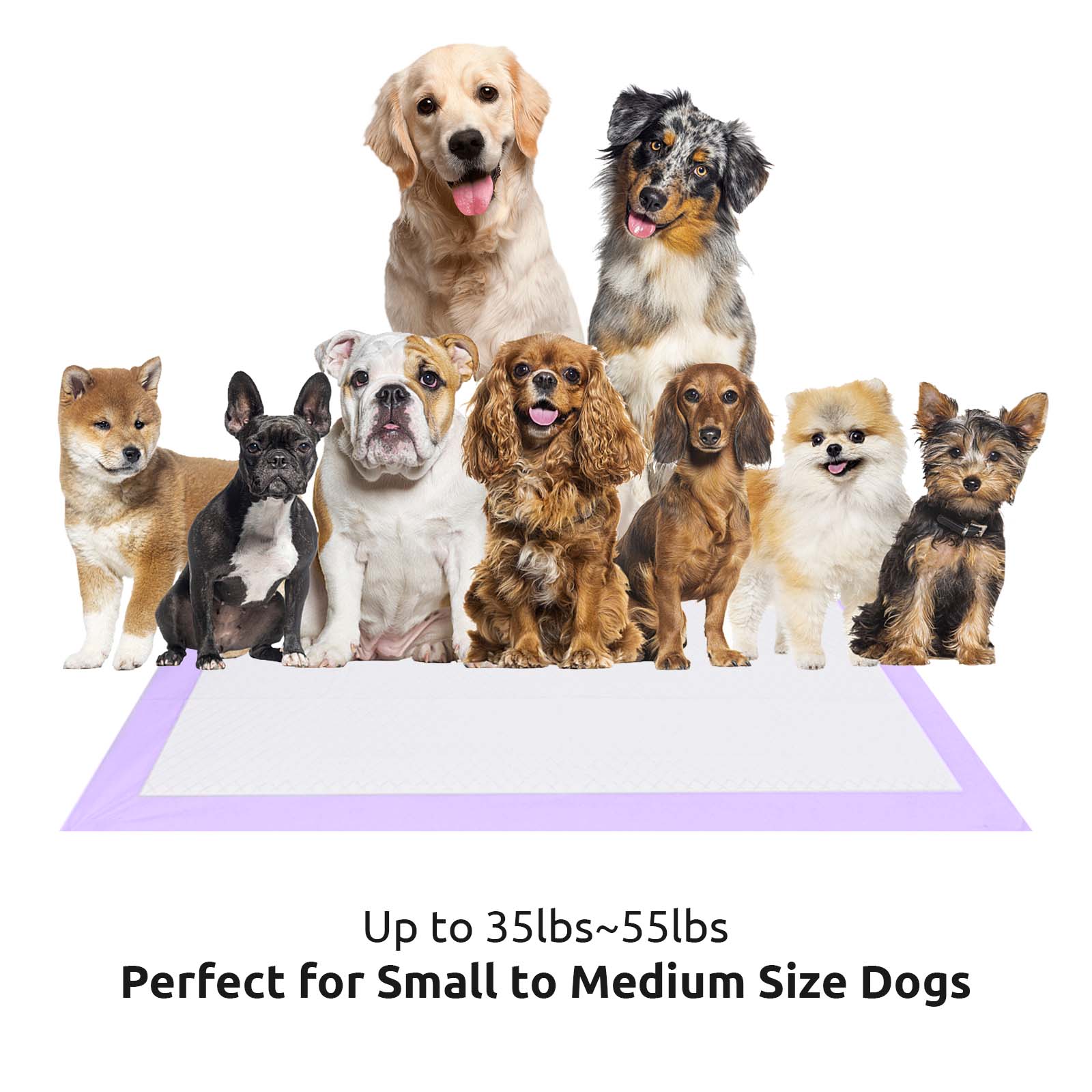 Dog Training Pads 26" x 30", 40 Pieces, XL, Lavender Scent - Super Absorbent