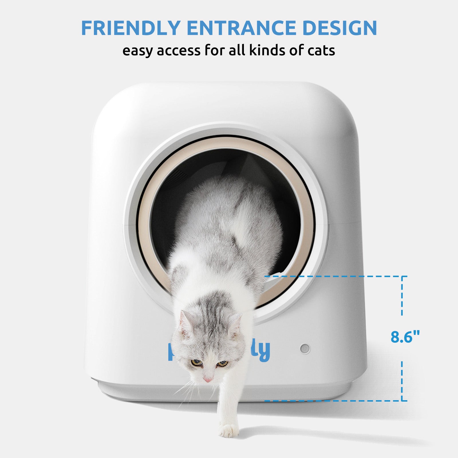 PETFAMILY Magic Box