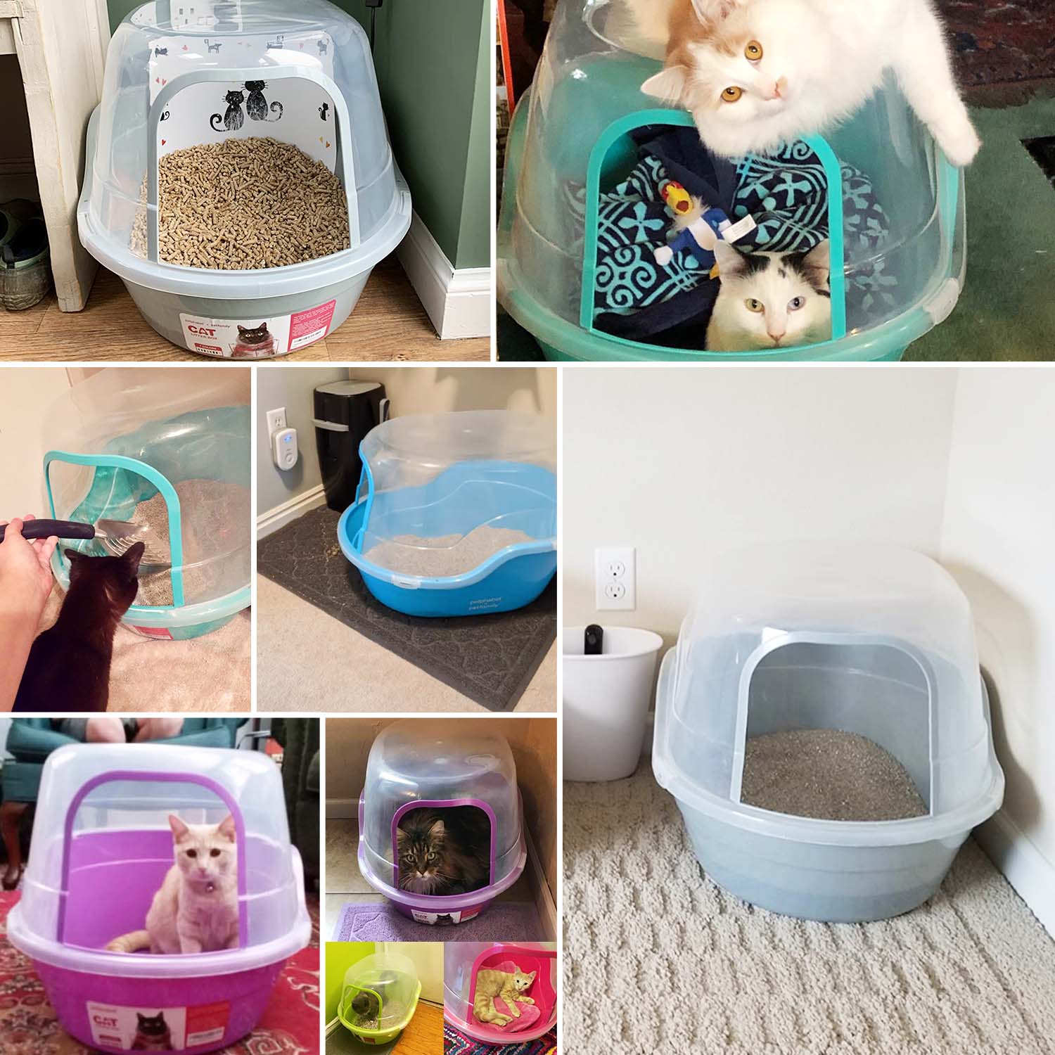 Jumbo Hooded Cat Litter Box - Extra Large for Big Cats and Multi-cat Families