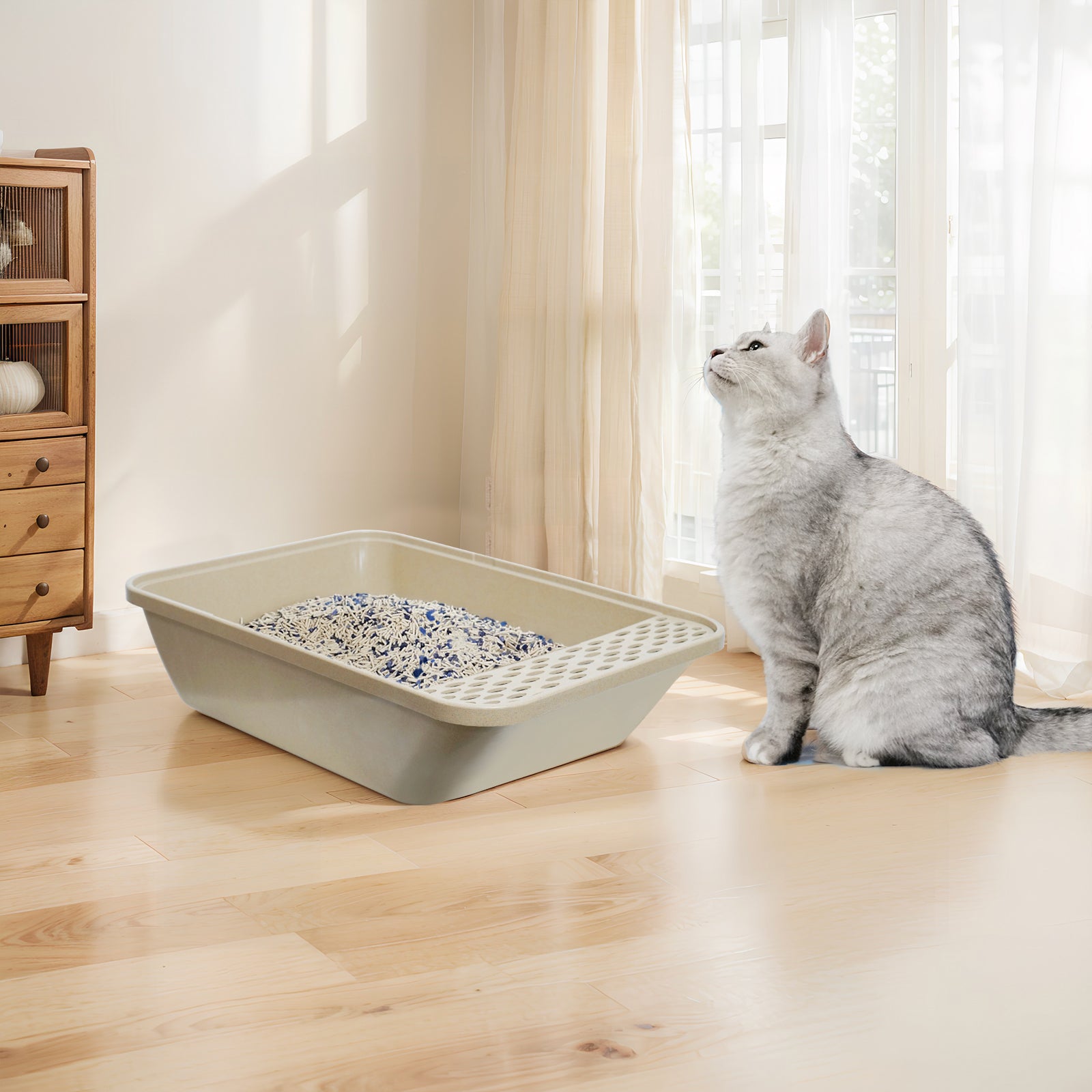 BioPurr Cat Litter Box