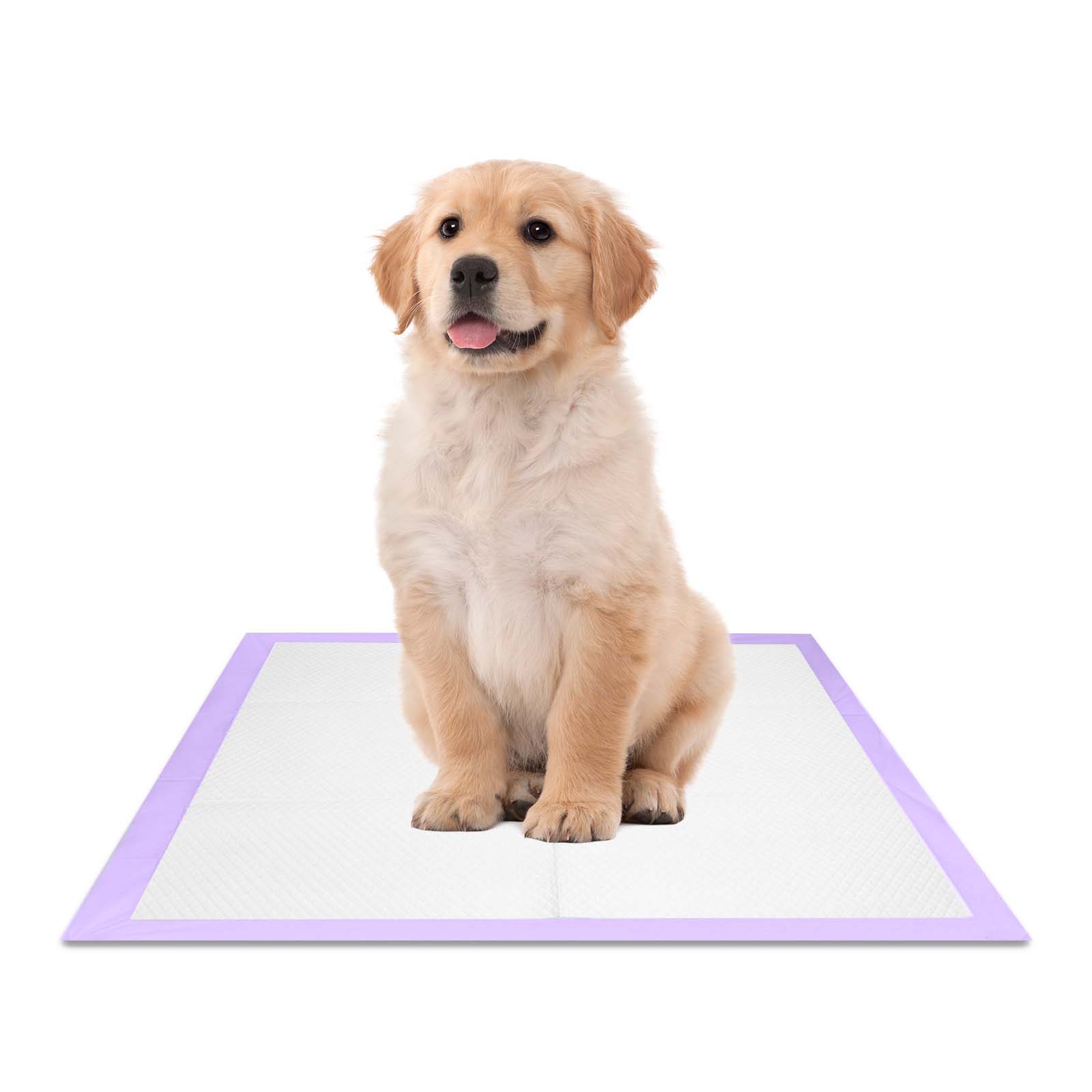 犬用トレーニングパッド 23インチ x 24インチ、ラベンダーの香り - 超吸収性