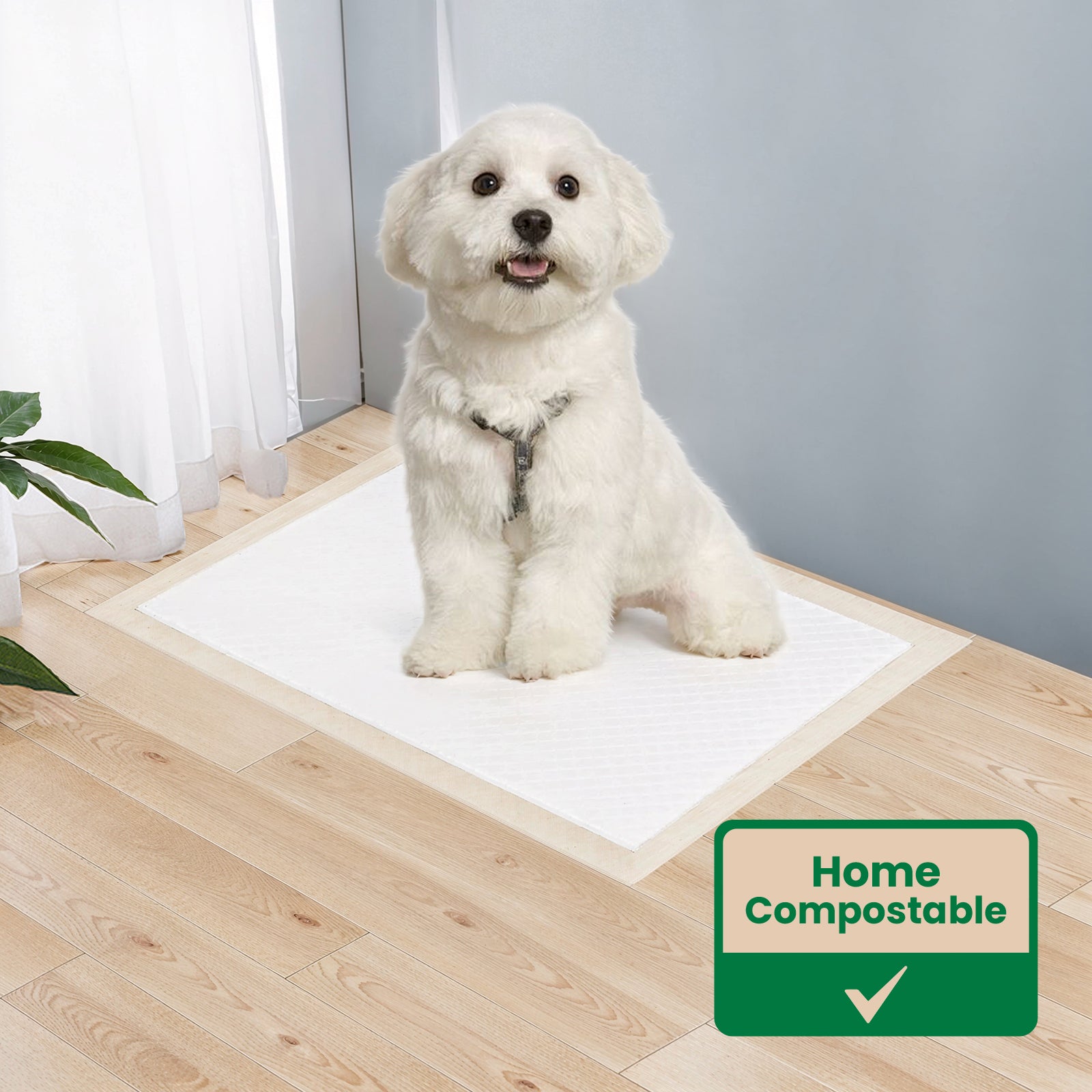 BioPee Pet Pee Pad