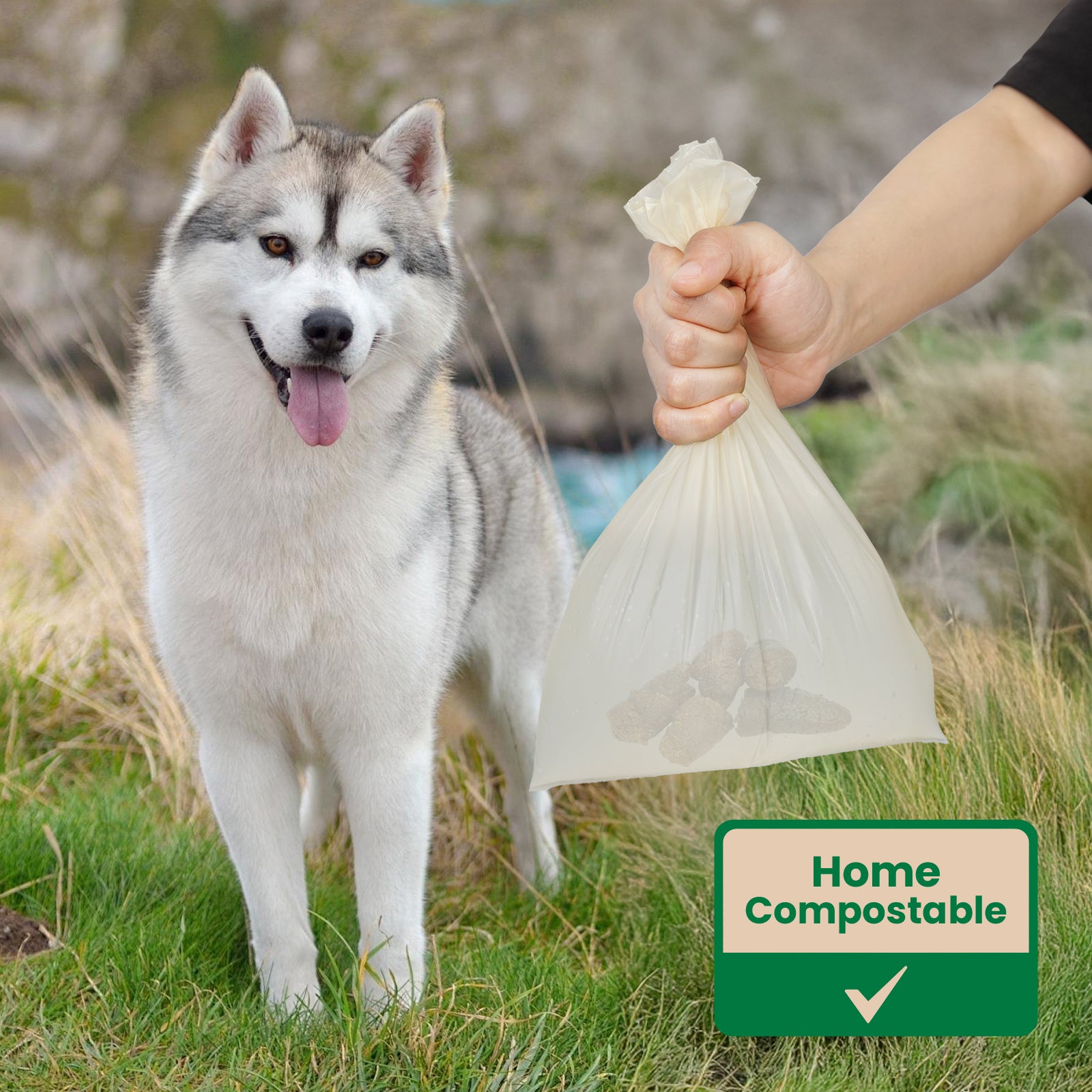BioPoo Dog Poop Bag
