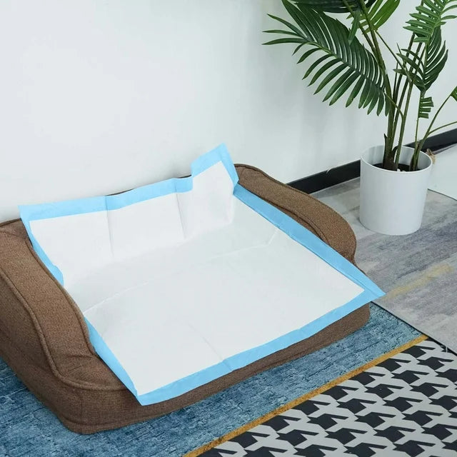 Carbon Dog Training Pads 22" x 23" 100 Pieces - Quick Drying and Ultra Absorbent